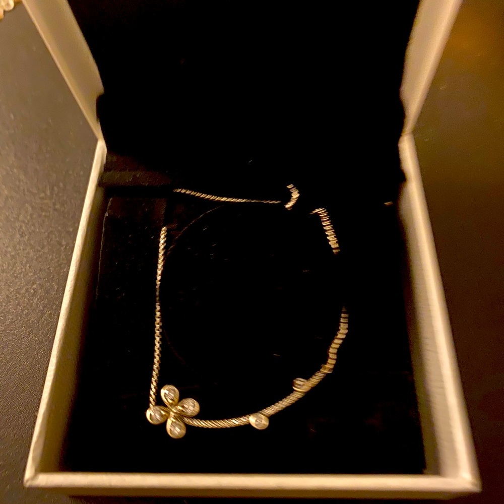 Pandora necklace